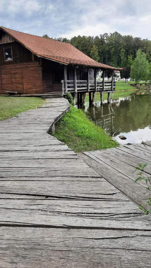 Apartman Abramovic Topusko Dış mekan fotoğraf